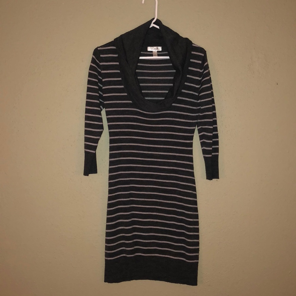 Sweater Dress/Tunic
